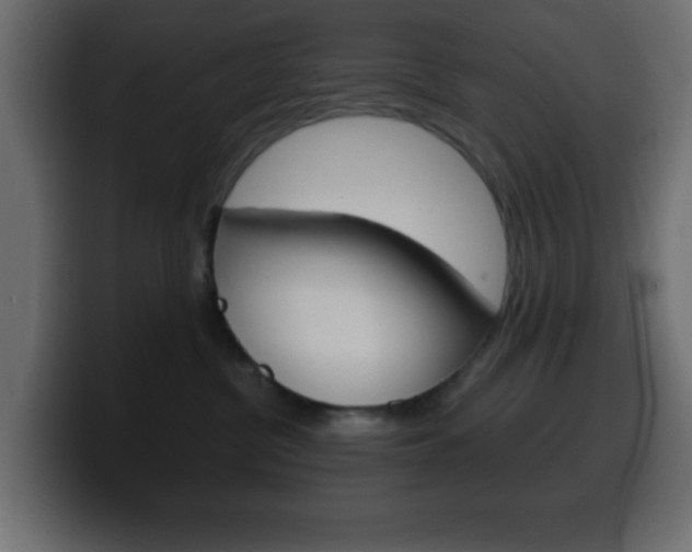 X0000100400380200806060859