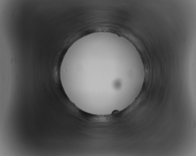 X0000100400381200806060859