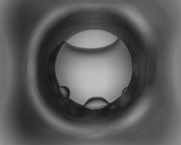 X0000100400383200806060859