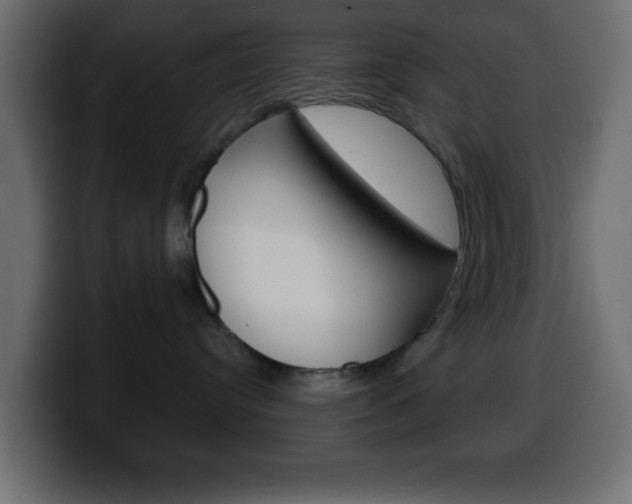 X0000100400384200806060859