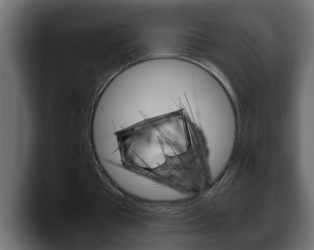 X0000100400385200806060859