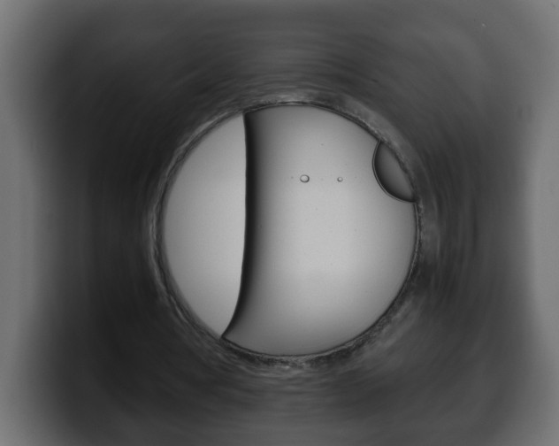 X0000100400386200806060859