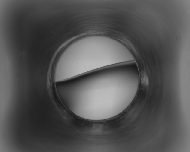X0000100400388200806060859