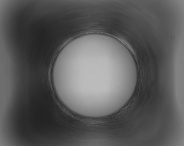 X0000100400389200806060859
