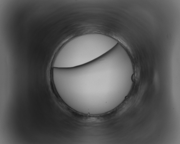 X0000100400390200806060859