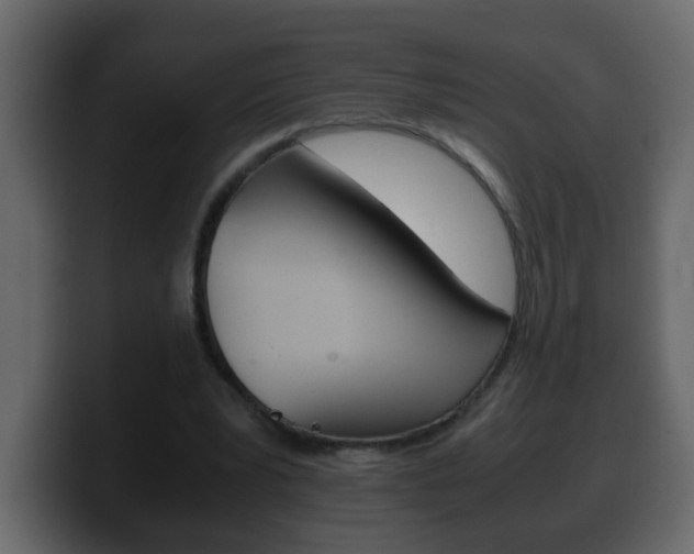 X0000100400391200806060859