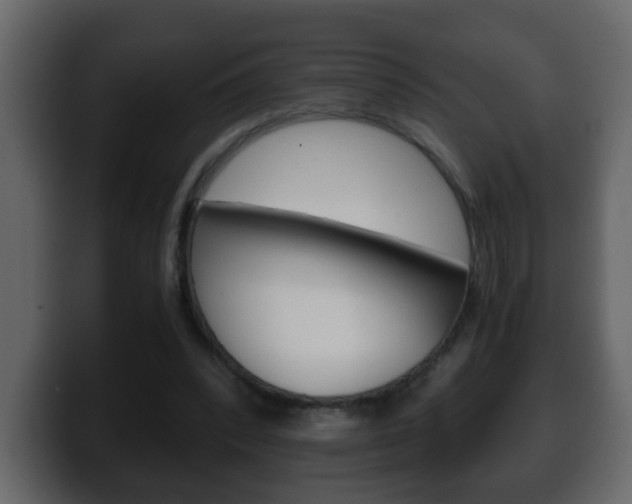 X0000100400392200806060859