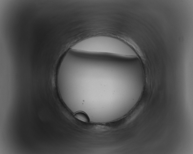 X0000100400393200806060859