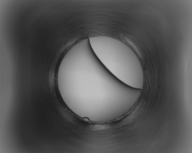 X0000100400394200806060859