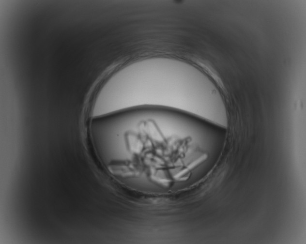X0000100400395200806060859