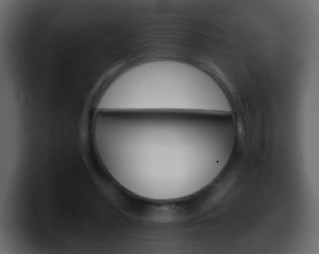 X0000100400396200806060859