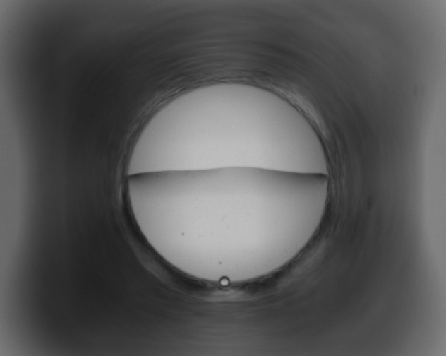 X0000100400397200806060858