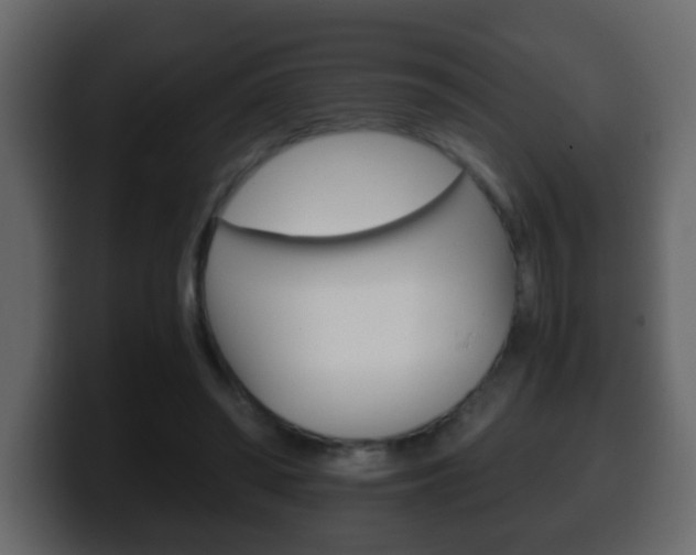 X0000100400398200806060858