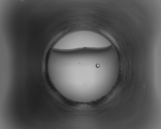 X0000100400399200806060858