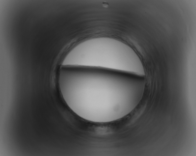 X0000100400400200806060858