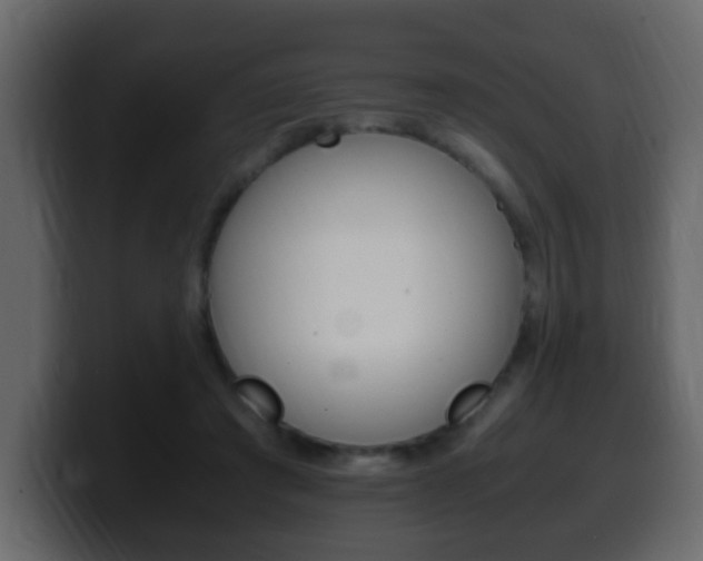 X0000100400401200806060858