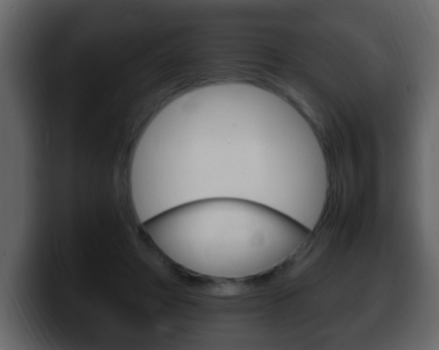 X0000100400402200806060858