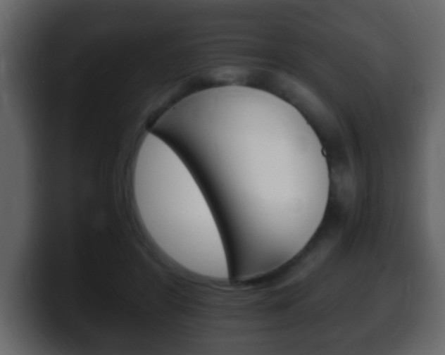 X0000100400404200806060858