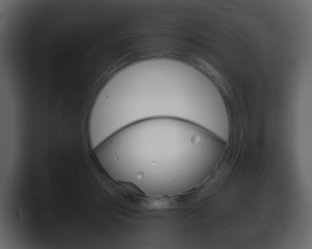 X0000100400405200806060858
