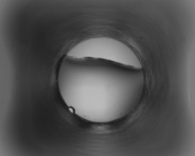 X0000100400407200806060858