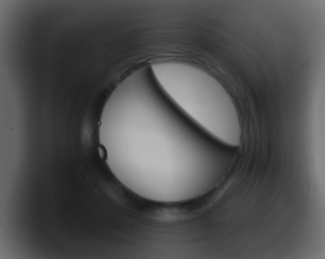 X0000100400408200806060858
