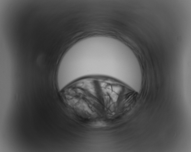 X0000100400409200806060858