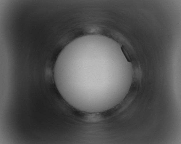 X0000100400415200806060858