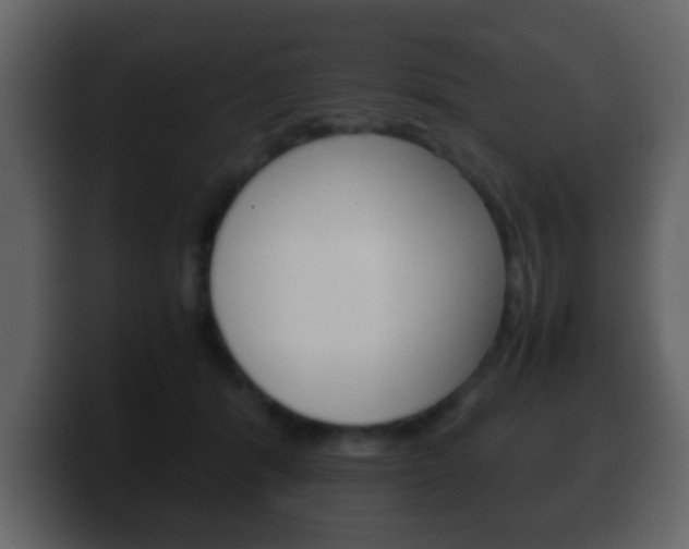 X0000100400416200806060858