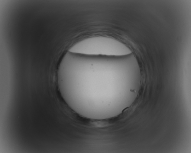 X0000100400417200806060858