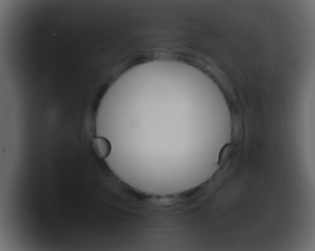 X0000100400419200806060858