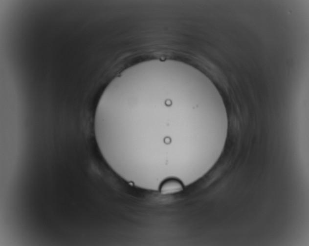 X0000100400421200806060858