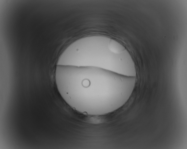 X0000100400423200806060858