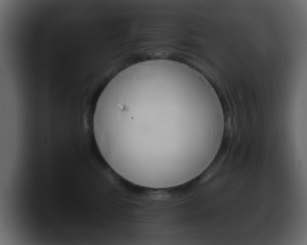X0000100400424200806060858