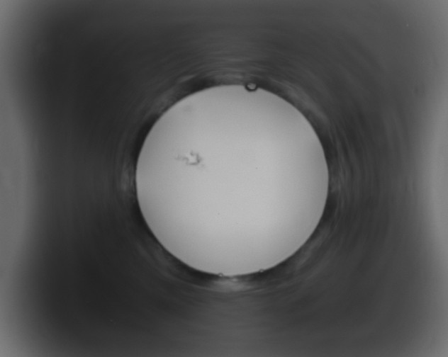 X0000100400425200806060858