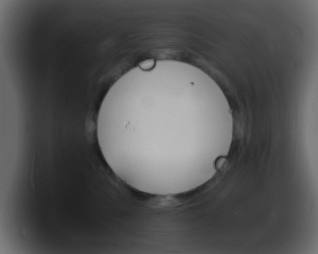 X0000100400427200806060858