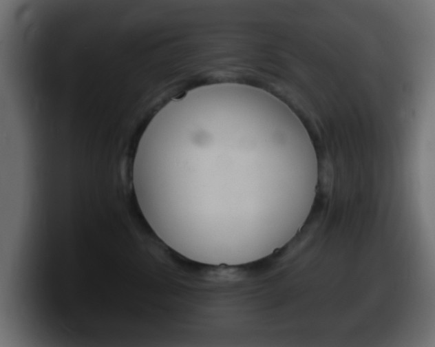 X0000100400428200806060858