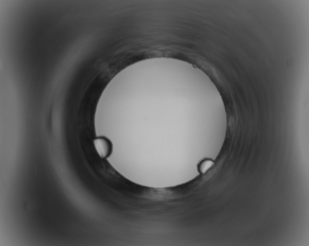 X0000100400429200806060858