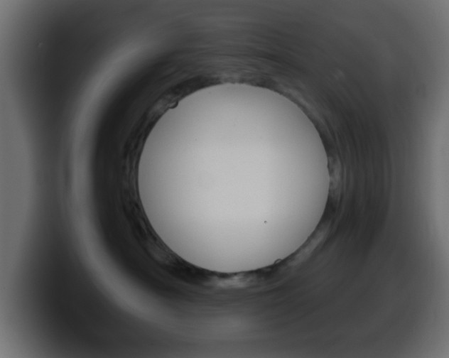 X0000100400430200806060858