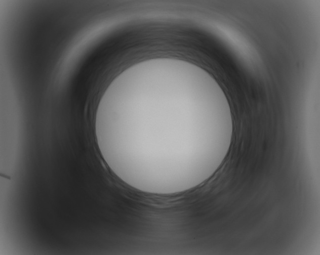 X0000100400431200806060858