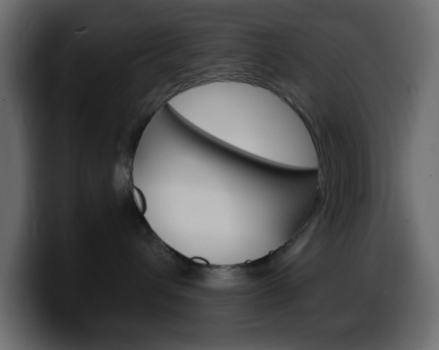 X0000100400432200806060858