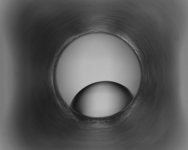 X0000100400434200806060857