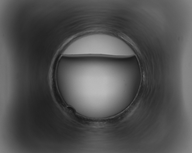 X0000100400436200806060857