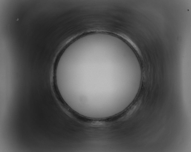 X0000100400437200806060857