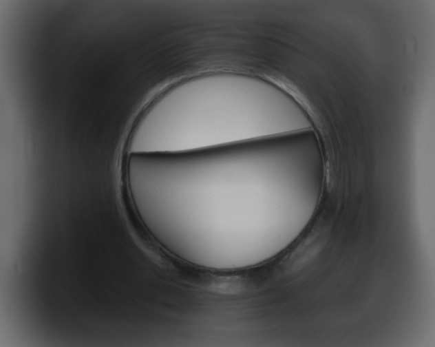 X0000100400438200806060857