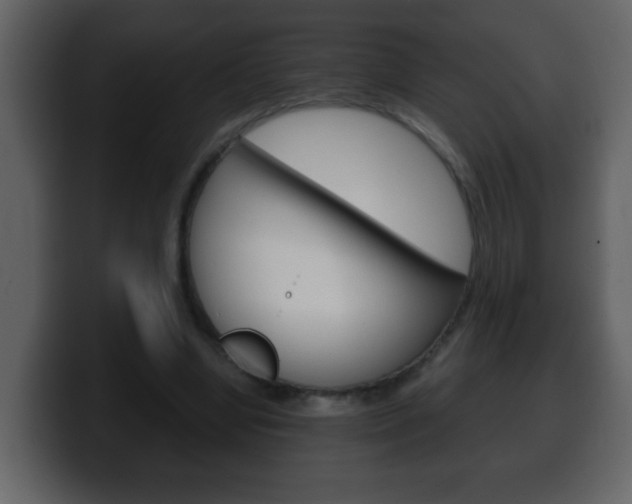 X0000100400442200806060857
