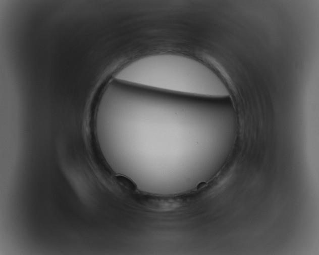 X0000100400443200806060857