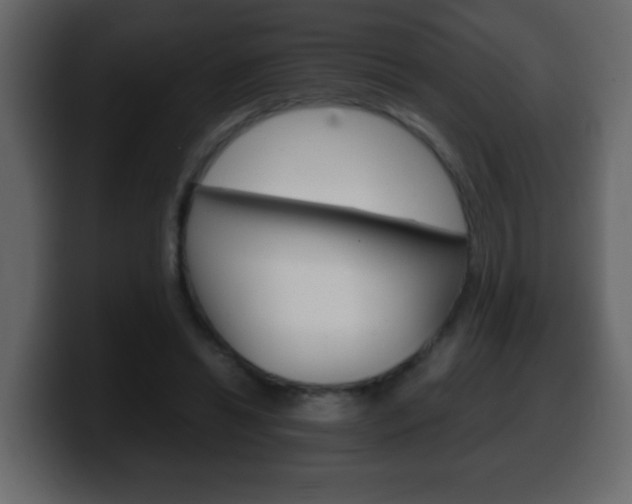 X0000100400446200806060857