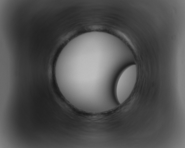 X0000100400447200806060857