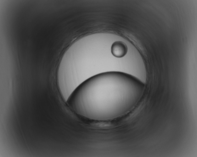 X0000100400449200806060857