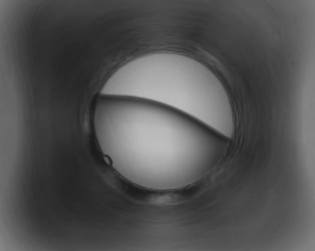 X0000100400452200806060858